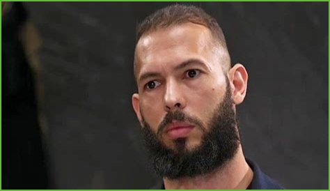 Delving Into The Cultural Tapestry Of Tate Ethnicity